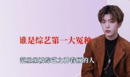 娱乐圈吃瓜宋亚轩是谁啊,揭秘他的成长之路与人气飙升之谜