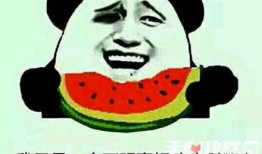 娱乐吃瓜酱玩医疗梗,趣味横生揭秘医疗界趣闻